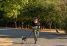 the-connection-between-running,-working-out-and-taking-your-dog-with-you